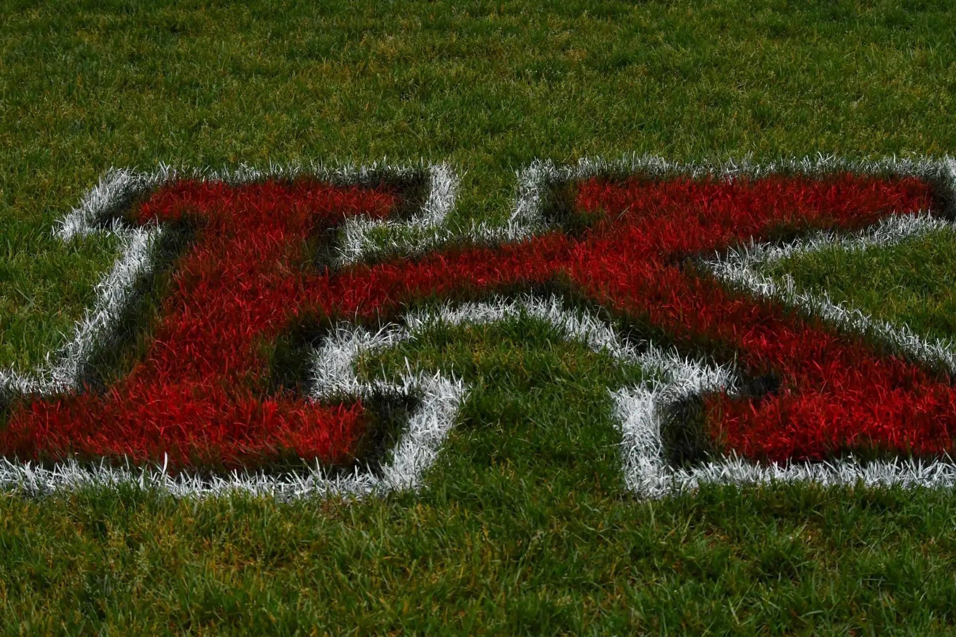 Red letter "K" painted on grass field.